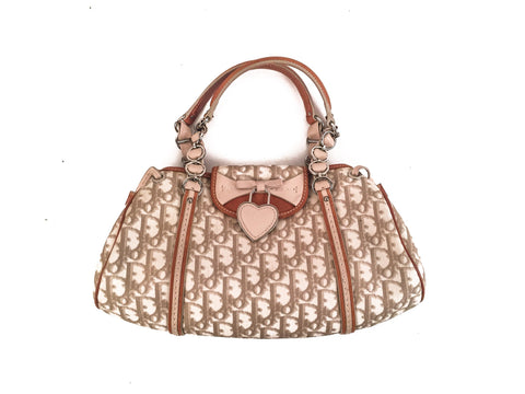 Dior Canvas Logo Bag