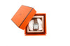 Hermes Cape Cod Watch