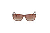 Tom Ford Brown Tortoise Sunglasses