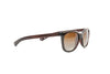 Chanel Brown & Gold Sunglasses